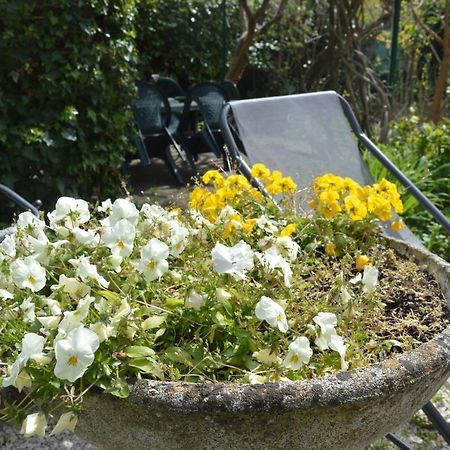 Il Giardino Nel Parco R&B Hotel Bologna Kültér fotó