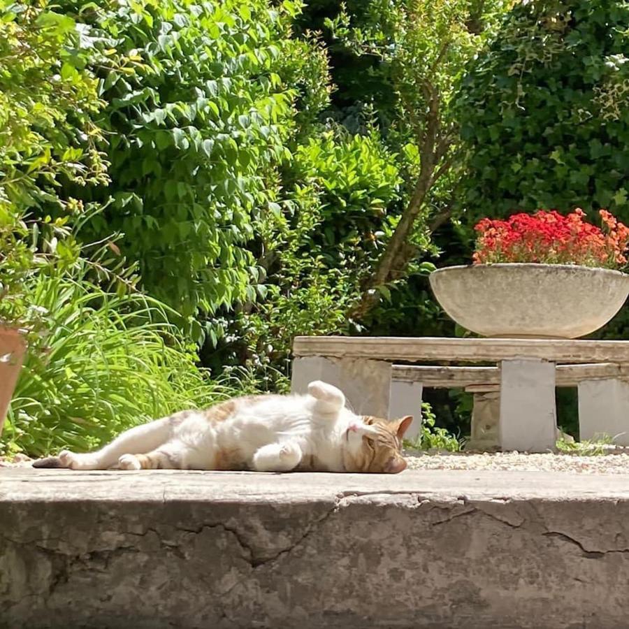 Il Giardino Nel Parco R&B Hotel Bologna Kültér fotó