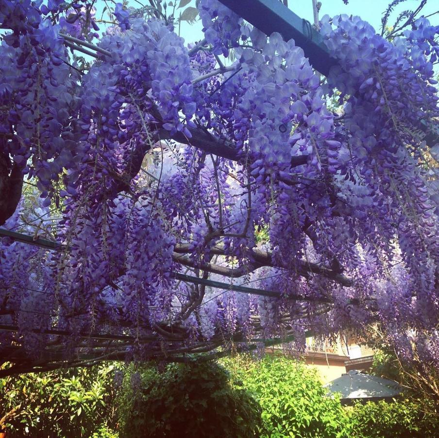 Il Giardino Nel Parco R&B Hotel Bologna Kültér fotó